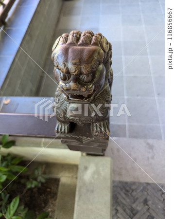 Portland, Oregon, USA - 07.10.2024: The famous Chinese Lan Su Garden. Interior of a tea house 116856667