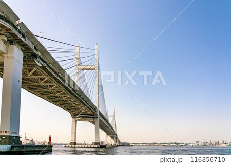 【神奈川県】晴天の横浜ベイブリッジ 116856710