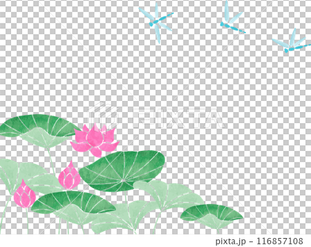 Dragonfly and lotus frame Dragonfly and lotus frame 116857108