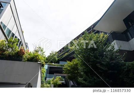 ユニクロ・イケアの裏側 階段と木々 原宿 夏晴れの青空 東京都渋谷区 ユニクロ・イケアの裏側 階段と木々 原宿 夏晴れの青空 東京都渋谷区 116857330