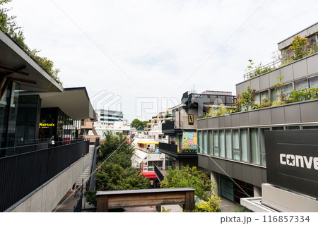 ユニクロ・イケアの裏側から竹下通りへ続く路地　原宿　夏晴れの青空　東京都渋谷区 116857334