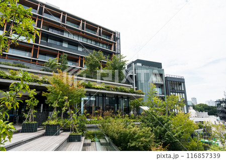 ユニクロ・イケアのビルにある屋上庭園を散歩　原宿　夏晴れの青空　東京都渋谷区 116857339