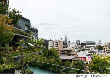 ユニクロ・イケアのビルにある屋上庭園からの眺め　原宿駅　ドコモ代々木ビル　夏晴れの青空　東京都渋谷区 116857340