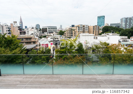 ユニクロ・イケアのビルにある屋上庭園を散歩 原宿駅 ドコモ代々木ビル 夏晴れの青空 東京都渋谷区 ユニクロ・イケアのビルにある屋上庭園を散歩 原宿駅 ドコモ代々木ビル 夏晴れの青空 東京都渋谷区 116857342