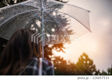 雨の日の傘 116857515