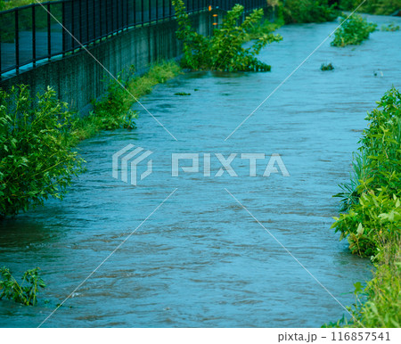 増水した河川 増水した河川 116857541