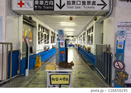 台湾ホウトン駅の構内 116858295