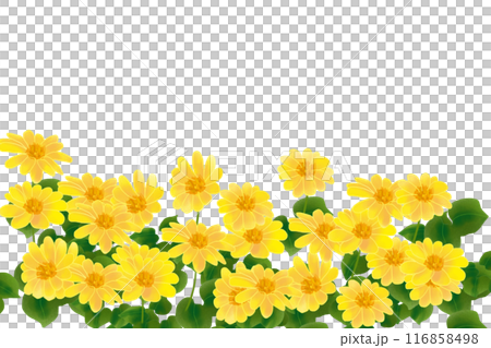 チトニアの花のカード1 チトニアの花のカード1 116858498