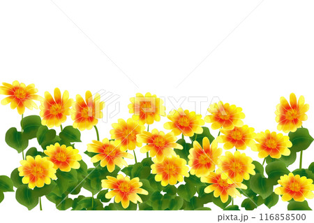 チトニアの花のカード2 チトニアの花のカード2 116858500