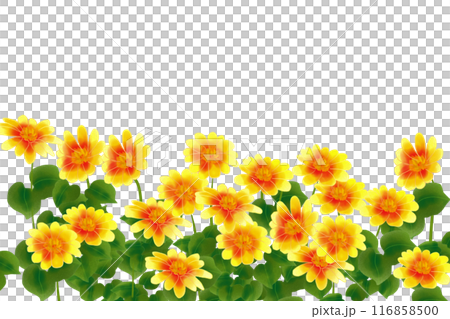 チトニアの花のカード2 チトニアの花のカード2 116858500