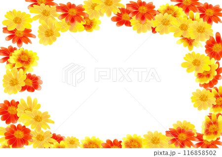 チトニアの花のカード3 チトニアの花のカード3 116858502