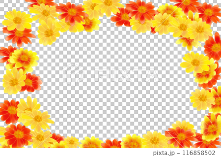 チトニアの花のカード3 チトニアの花のカード3 116858502