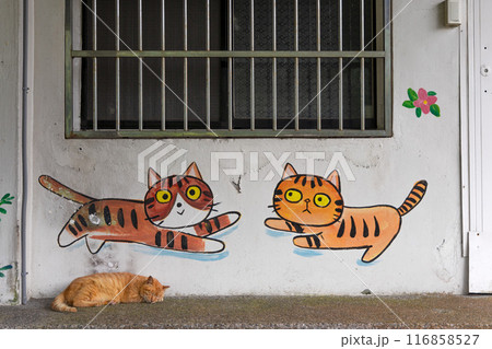ねこ村ホウトンの壁画と猫 116858527