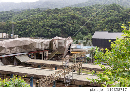 台湾ホウトン駅の猫型通路2 116858717