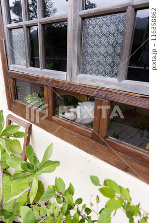 ねこ村ホウトンのカフェスの窓辺で眠る猫 ねこ村ホウトンのカフェスの窓辺で眠る猫 116858862