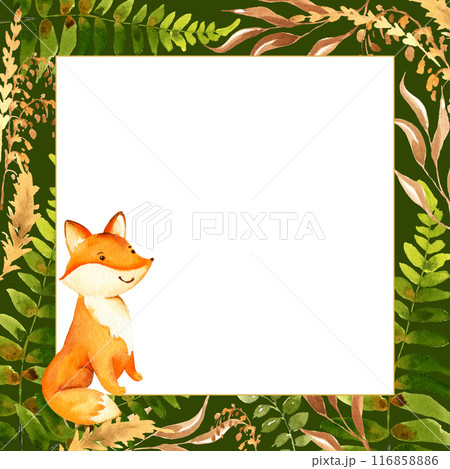cute red little fox on frame with forest herbs and plants, watercolor sketch of cartoon forest animal with fern's leaves and greenery leaf plant, funny illustration, template, for children posters cute red little fox on frame with forest herbs and plants, watercolor sketch of cartoon forest animal with fern's leaves and greenery leaf plant, funny illustration, template, for children posters 116858886