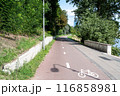 cycle path through the city 116858981