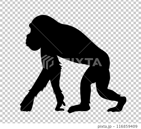 Chimpanzee icon Chimpanzee icon 116859409