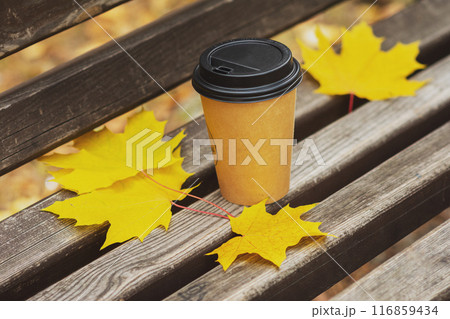 coffee cup and yellow leaves on a bench in an autumn park, autumn season concept 116859434