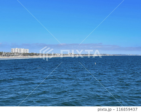 サンタモニカ&ベニス･ビーチ 116859437