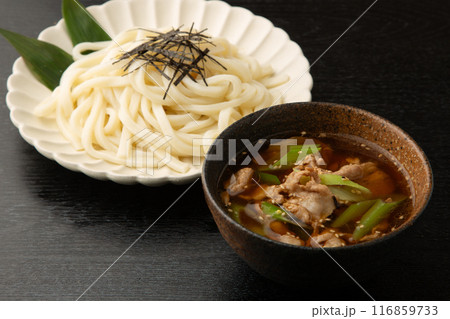 つけ汁うどん つけ汁うどん 116859733