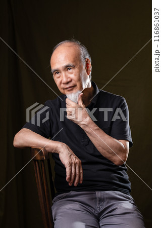 シニアライフを謳歌する白いあごヒゲのあるシニア男性60-70代 116861037