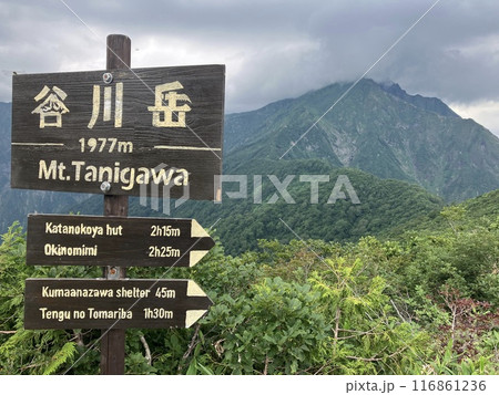 谷川岳_谷川岳天神平からの眺望_雷雲近づく夏の谷川岳山頂 116861236