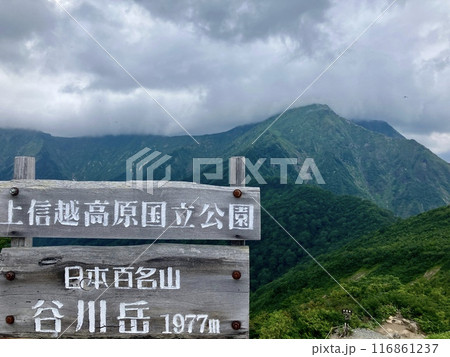 谷川岳_谷川岳天神平からの眺望_雷雲近づく夏の谷川岳山頂 谷川岳_谷川岳天神平からの眺望_雷雲近づく夏の谷川岳山頂 116861237
