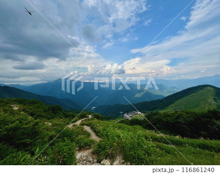 谷川岳_谷川岳天神平からの眺望_雷雲近づく夏の谷川岳山頂 116861240