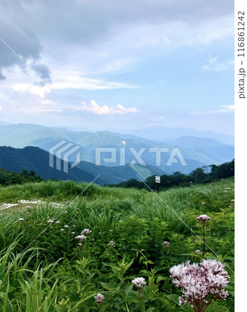 谷川岳_谷川岳天神平からの眺望_雷雲近づく夏の谷川岳山頂 谷川岳_谷川岳天神平からの眺望_雷雲近づく夏の谷川岳山頂 116861242