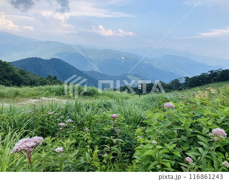 谷川岳_谷川岳天神平からの眺望_雷雲近づく夏の谷川岳山頂 谷川岳_谷川岳天神平からの眺望_雷雲近づく夏の谷川岳山頂 116861243
