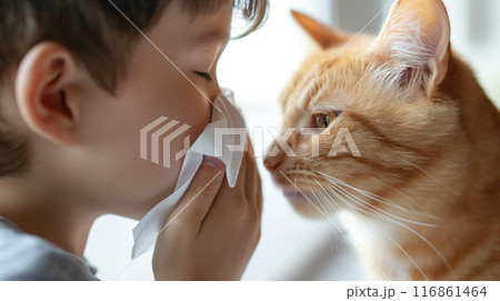 Child with Cat Allergy Symptoms 116861464