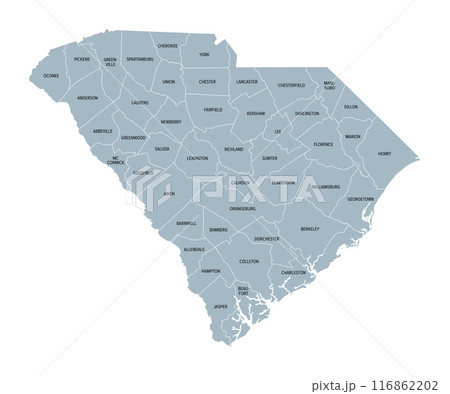 South Carolina counties, gray political map with borders and county names. State in the Southeastern region of the United States, subdivided into 46 counties. Nicknamed The Palmetto State. Vector 116862202