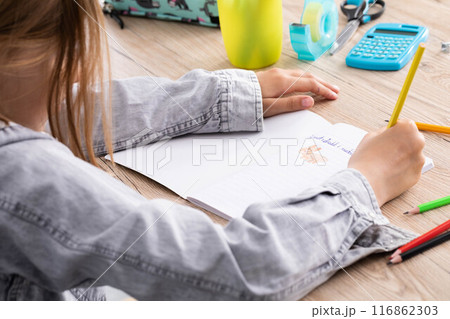 The student draws with crayons in the teddy bear school notebook as the subject of today's lesson. 116862303