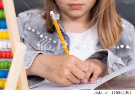 The girl solves the task given in the classroom. The schoolgirl diligently writes in a notebook. The girl solves the task given in the classroom. The schoolgirl diligently writes in a notebook. 116862368