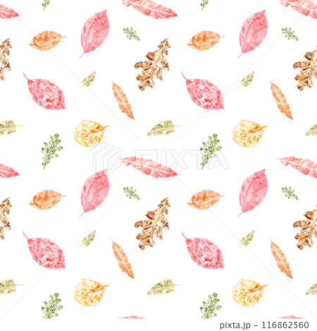 Autumn leaves in red, orange, yellow and green hues. Imprint of dried leaves. Watercolor leaf pattern in warm, earthy tones. Seamless ornate. For seasonal designs, wallpapers, textiles and invitations 116862560
