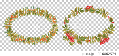 Rowan and Sea buckthorn berries with autumn leaves. Sorbus aucuparia, mountain-ash. Oval wreath with copy space for text. Autumn composition. Watercolor illustration. For greetings, invitations 116862574