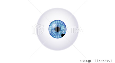 Iris melanoma anatomy 116862591