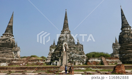 仏塔や仏像が並ぶ風景 116862888