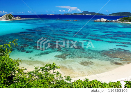 真夏の沖縄　慶良間諸島　渡嘉敷島の風景　阿波連ビーチ 116863103