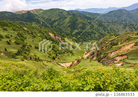 夏の志賀高原　横手山ドライブインからの風景 116863533