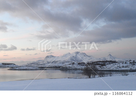 Arctic Norway in Winter 116864112