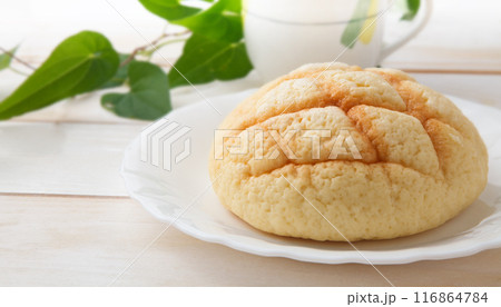 メロンパン スタジオ撮影 メロンパン スタジオ撮影 116864784