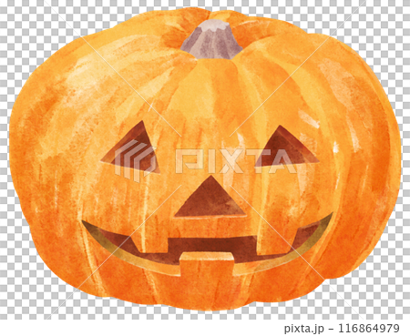 Halloween pumpkin ghost watercolor touch 116864979