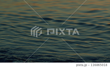 Water Ripple Background Texture. Sunlight Reflect On Water Surface. Orange Sea At Sunset. Slow motion. 116865018