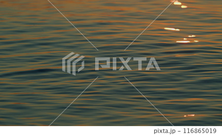 Sun Reflection And Ripples On Sea Water Surface At Sunset. Sea Water Background. Slow motion. 116865019