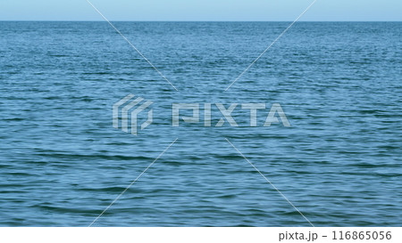 Wavy Sea With Horizon At A Blue Sky. Calming Waves Of The Sea Or Ocean. Sunny Summer Day. Still. Wavy Sea With Horizon At A Blue Sky. Calming Waves Of The Sea Or Ocean. Sunny Summer Day. Still. 116865056