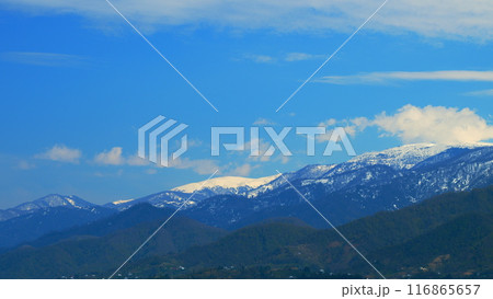 Dramatic Autumn Beauty Landscape. Beautiful View Of Forest And Mountains During Spring. Real time. 116865657