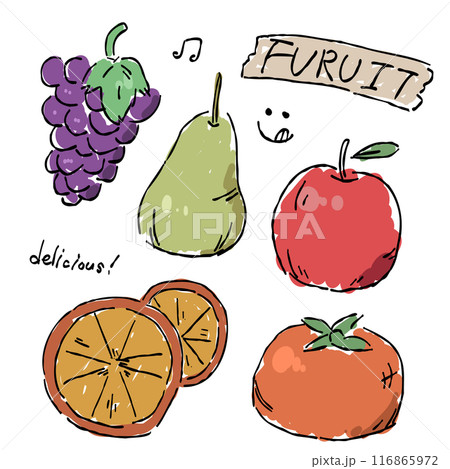 秋を彩る、秋のフルーツのセットのおしゃれな手描きイラスト 116865972