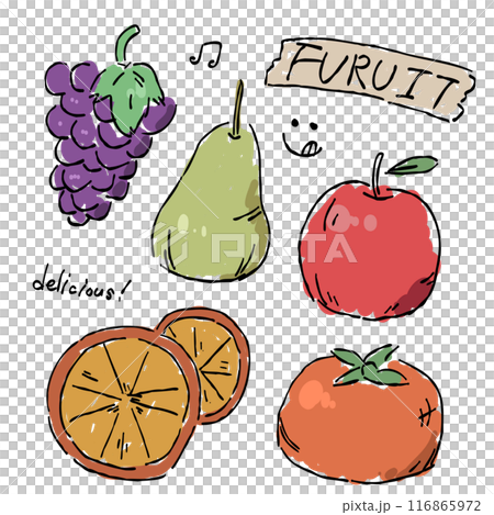 秋を彩る、秋のフルーツのセットのおしゃれな手描きイラスト 116865972